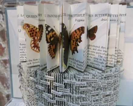Observer Series: Butterflies