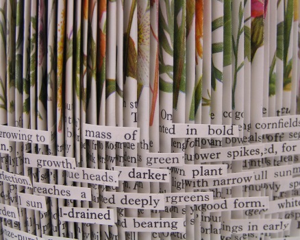 Observer Series: Garden Flowers